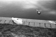 IMG03712.jpg