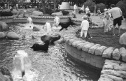 IMG037391.jpg