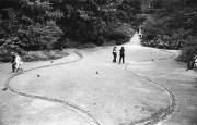 IMG03813.jpg