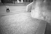 IMG3995-0m.jpg