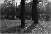 IMGP2114.JPG IMGP2114.JPG