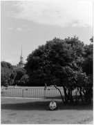 IMGP3325-001.JPG