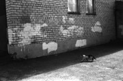 IMG_00111.jpg