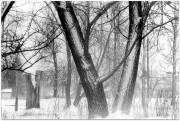 IMG_0400_.jpg