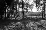 IMG_1243.jpg