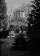 IMG_1705.jpg
