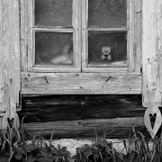 IMG_1770.jpg IMG_1770.jpg