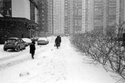 IMG_3863.JPG