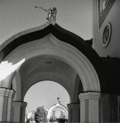 IMG_3984.jpeg