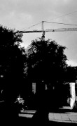 IlfordAdvocate-20220724-022.jpg IlfordAdvocate-20220724-022.jpg