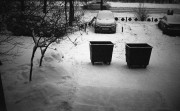 IlfordAdvocate-20221229-001.jpg IlfordAdvocate-20221229-001.jpg