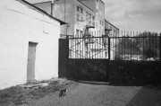 IlfordAdvocate-AgfaAviphot400-D23-20230430-005.jpg IlfordAdvocate-AgfaAviphot400-D23-20230430-005.jpg