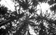 IlfordAdvocate-Fomapan400-20220212-006.jpg IlfordAdvocate-Fomapan400-20220212-006.jpg