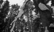 IlfordAdvocate-Fomapan400-20220212-009.jpg IlfordAdvocate-Fomapan400-20220212-009.jpg