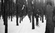 IlfordAdvocate-Fomapan400-20220212-010.jpg IlfordAdvocate-Fomapan400-20220212-010.jpg