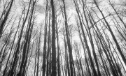IlfordAdvocate-Fomapan400-20220212-019.jpg IlfordAdvocate-Fomapan400-20220212-019.jpg