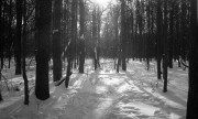 IlfordAdvocate-Fomapan400-20220212-040.jpg IlfordAdvocate-Fomapan400-20220212-040.jpg
