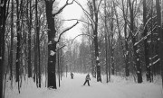 IlfordAdvocate-HP5-20211228-013.jpg IlfordAdvocate-HP5-20211228-013.jpg