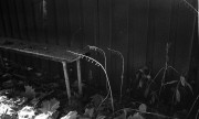 IlordAdvocate-20221009-029.jpg