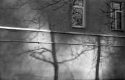 Industar22-AgfaAviphot-20220319-016.jpg Industar22-AgfaAviphot-20220319-016.jpg