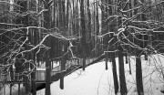 Jupiter12-AgfaAviphot400-202301145019.jpg