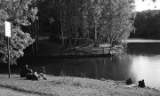 Jupiter3-20181103-007.jpg Jupiter3-20181103-007.jpg