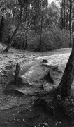 Jupiter3-20181103-010.jpg Jupiter3-20181103-010.jpg