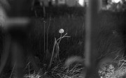 Kiev2-20160526-026.jpg