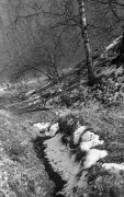 KievII-20170416-019.jpg