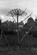 KievII-20170527-006.jpg