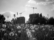 Konica_wide28-20160609-028-1.jpg Konica_wide28-20160609-028-1.jpg