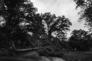 L1000234.JPG