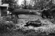L1000243.JPG