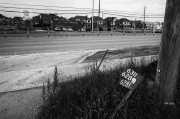 L1000253.JPG L1000253.JPG