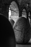 L1001598.jpg