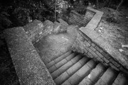 L1001982.jpg