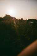 LCA-20170831-026.jpg