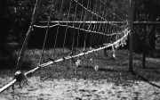 LeicaZ2X-IlfordPan100-20180826-005.jpg LeicaZ2X-IlfordPan100-20180826-005.jpg