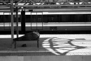 LeicaZ2X-IlfordPan100-20180826-010.jpg LeicaZ2X-IlfordPan100-20180826-010.jpg