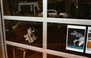 M4P_Summ-M35_Fuji250D_ECN2_June2016286.JPG