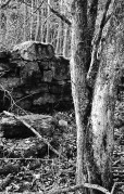 M4_2_J8_HP5_XTOL_1_1_12min_7min_Fixer_Dec_2014622.JPG