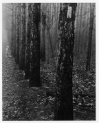 M4_2_Ultron35_HP5_1600_Agfa_Premium8x10RC_Dec_2015536.JPG M4_2_Ultron35_HP5_1600_Agfa_Premium8x10RC_Dec_2015536.JPG