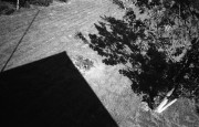 Minolta_AF-C_20140522_006.jpg