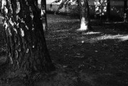 MinoxGTS-20140904-029.jpg