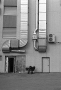 MinoxGTS-20140927-018.jpg