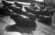 MinoxGTS-20160513-021.jpg