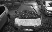 MinoxGTS-20210815-010.jpg