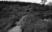 MinoxGTS-20210815-022.jpg