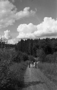 MinoxGTS-20210815-026.jpg