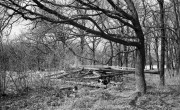 MinoxGTS-Aviphot-20220502-026.jpg